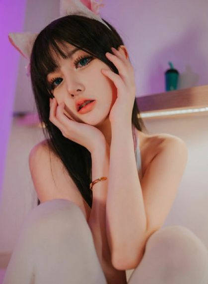 忠者无敌电视剧免费播放全集