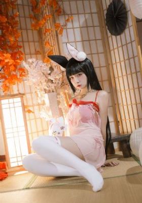 麻药王